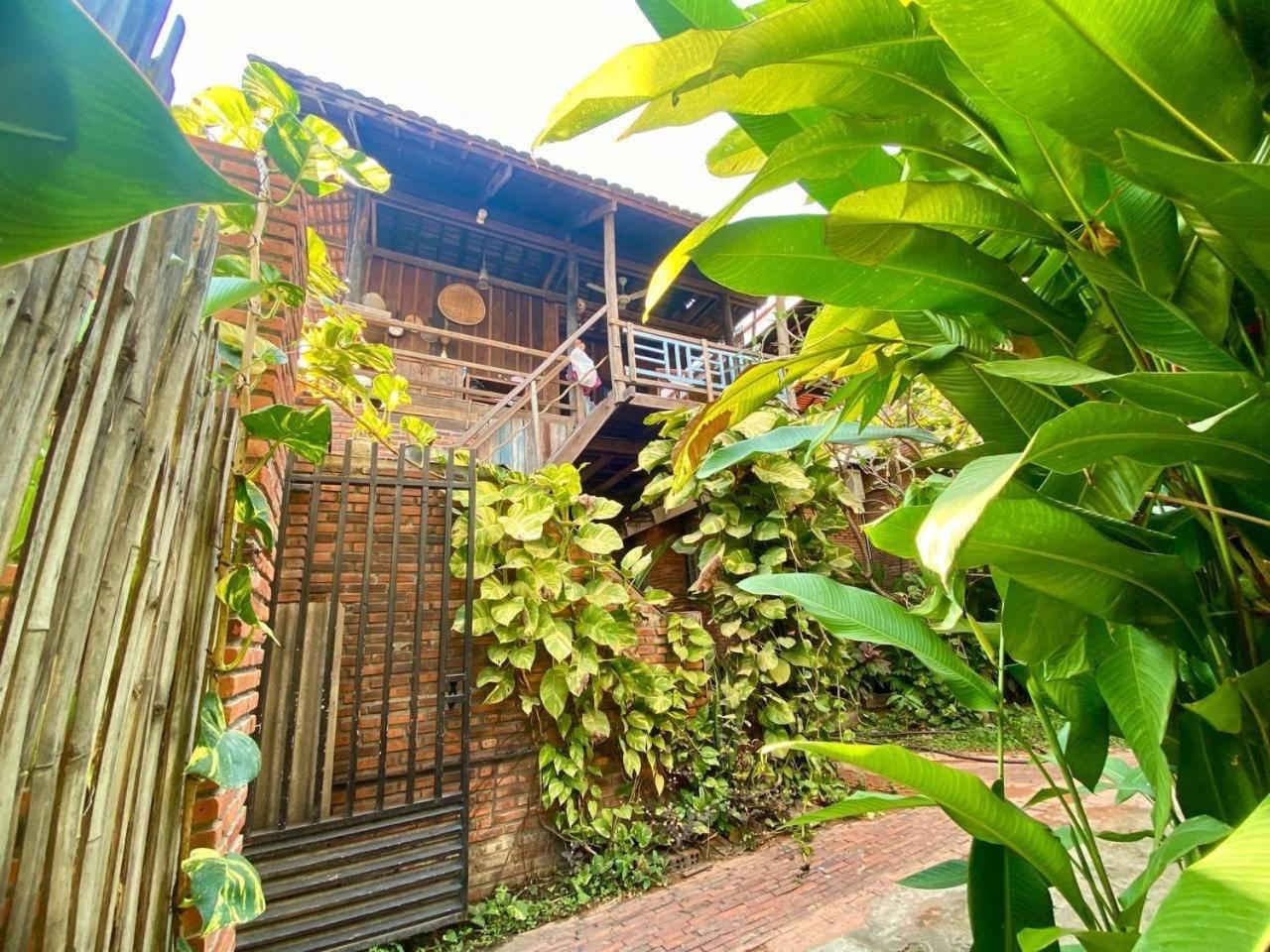 Cozy Paradise 马德望 外观 照片
