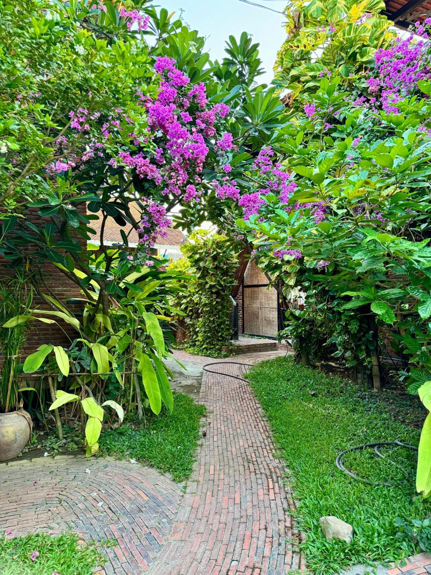 Cozy Paradise 马德望 外观 照片